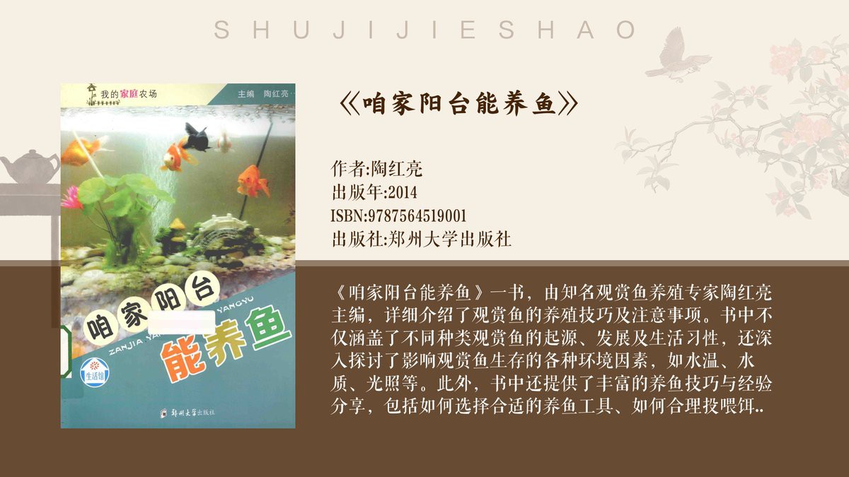 燈科魚最建議買的三個品種，養(yǎng)燈科魚的注意事項