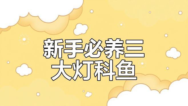 燈科魚最建議買的三個品種，養(yǎng)燈科魚的注意事項