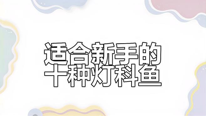 燈科魚最建議買的三個品種，養(yǎng)燈科魚的注意事項