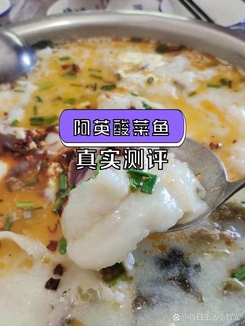 興安龍魚店，東北網興安龍魚店營業時間