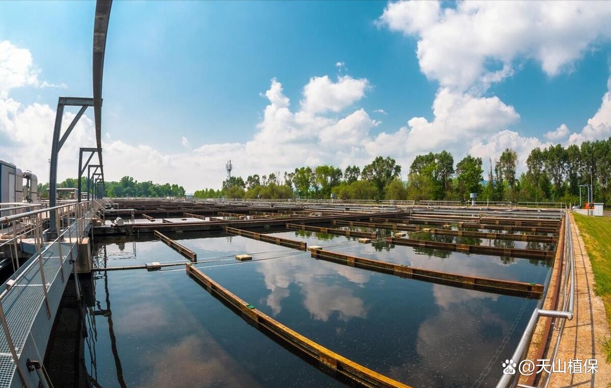 一個魚塘可以養幾種魚，魚塘養殖技術——混養