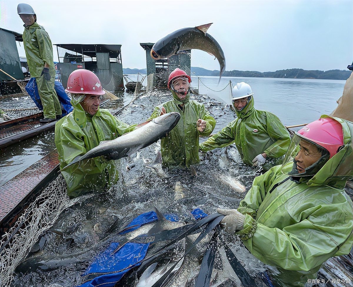 一個魚塘可以養幾種魚，魚塘養殖技術——混養