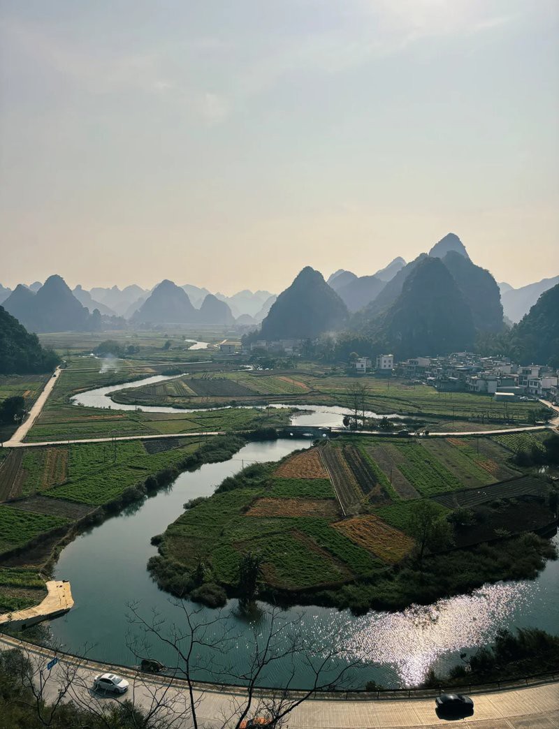 天等龍魚店，天等縣有龍魚店嗎