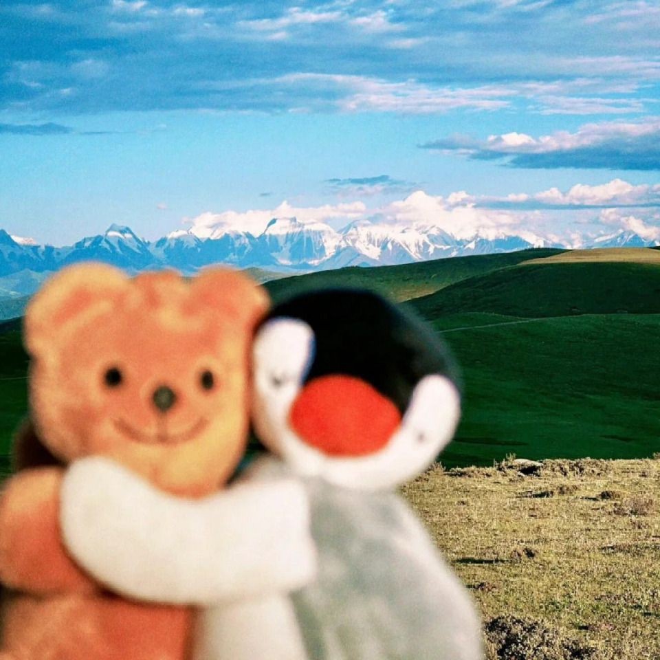 白子招財龍魚好養嗎，白子招財龍魚好養嗎白子招財龍魚飼養條件詳解