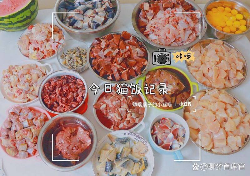 什么魚適合貓吃又便宜，貓咪吃什么魚合適
