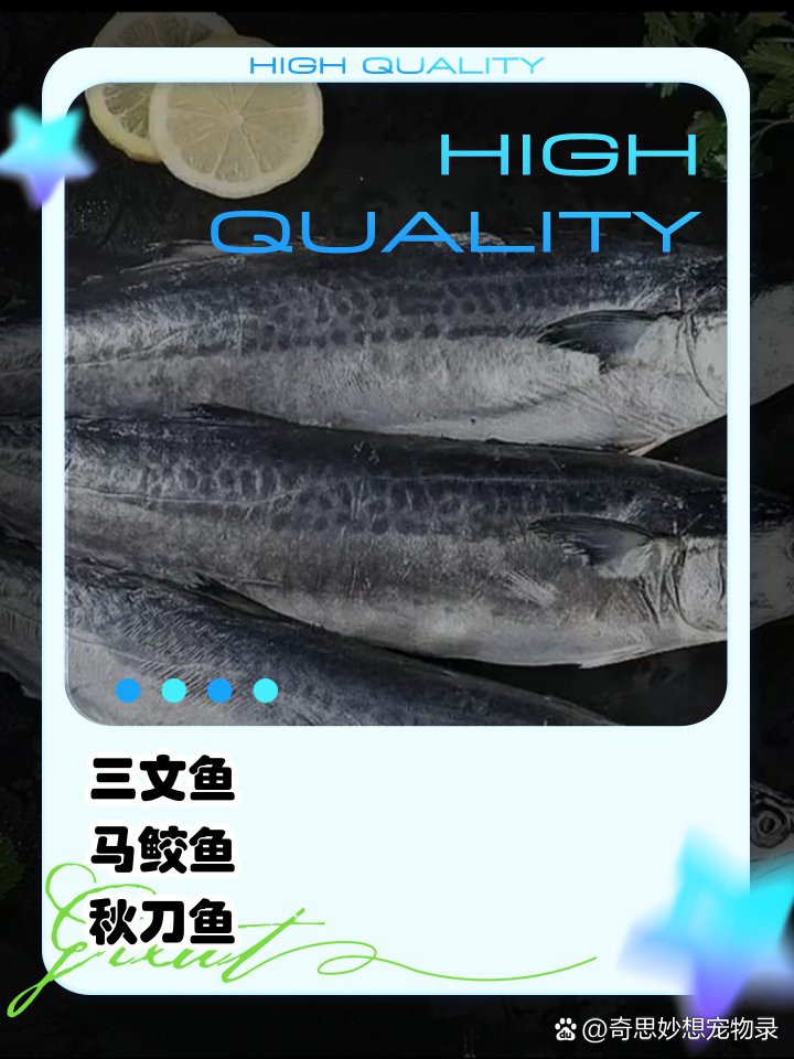 什么魚適合貓吃又便宜，貓咪吃什么魚合適