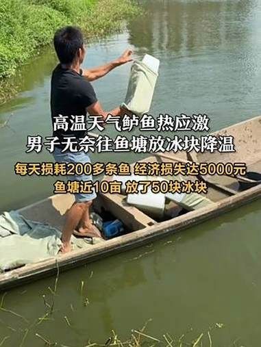 環(huán)境應(yīng)激對(duì)魚有哪些具體影響？，環(huán)境應(yīng)激對(duì)魚的具體影響