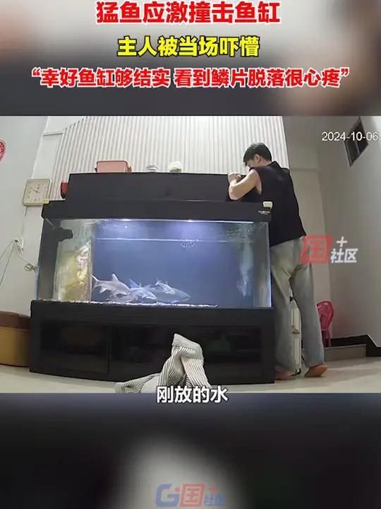 環境應激對魚有哪些具體影響？，環境應激對魚的具體影響