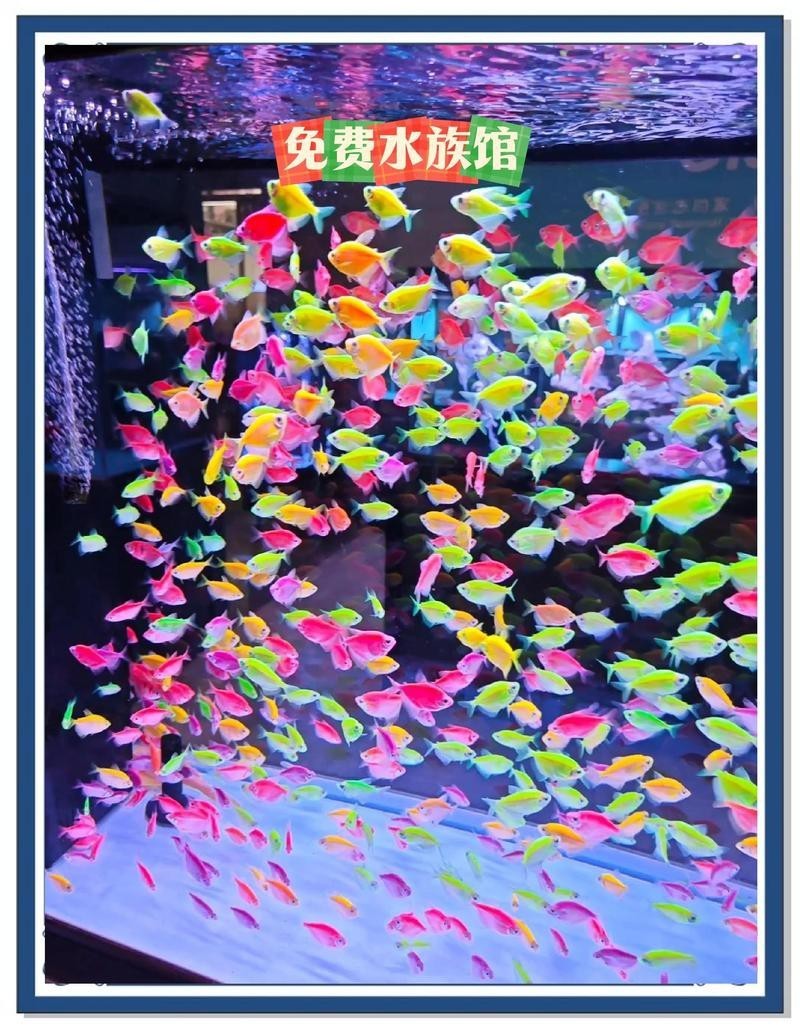 大連水族店，大連免費水族館