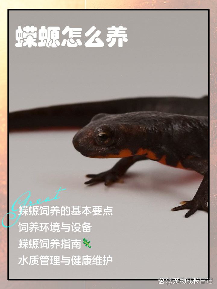 養(yǎng)蠑螈的10大忌，養(yǎng)蠑螈的十大禁忌及其詳細說明