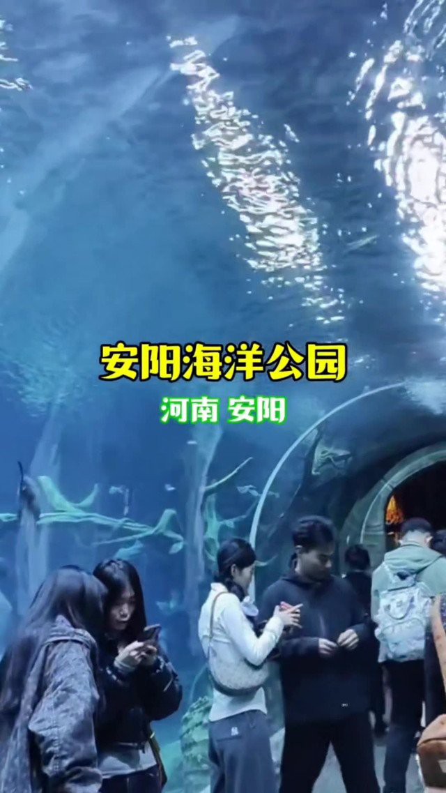 安陽縣水族店，安陽縣擁有多家特色鮮明的水族店，為當地居民及愛好者提供了豐富的選擇