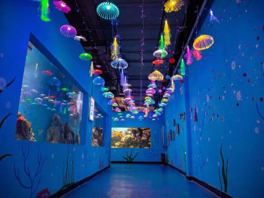 安陽縣水族店，安陽縣擁有多家特色鮮明的水族店，為當地居民及愛好者提供了豐富的選擇