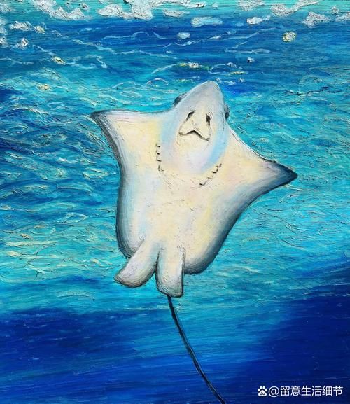 魔鬼魚圖片100張，魔鬼魚圖片100張魔鬼魚圖片展示