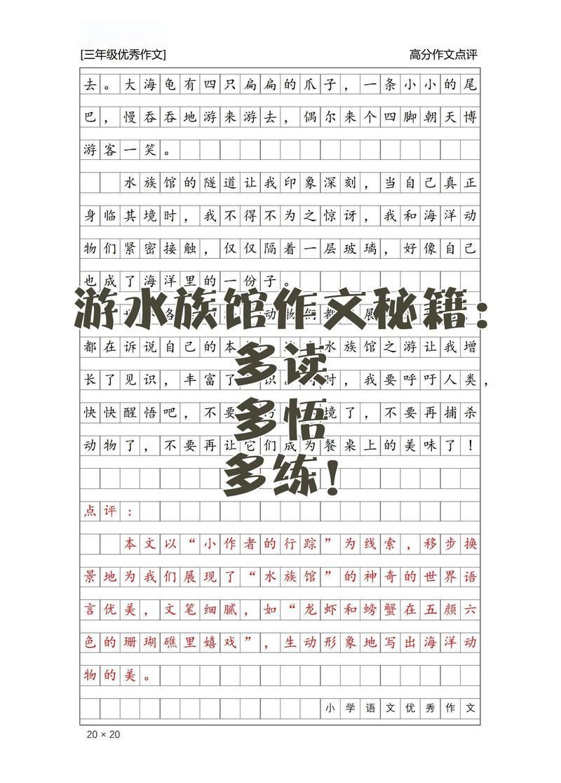 畢節(jié)水族館，探秘畢節(jié)水族館：一場奇妙的海底之旅