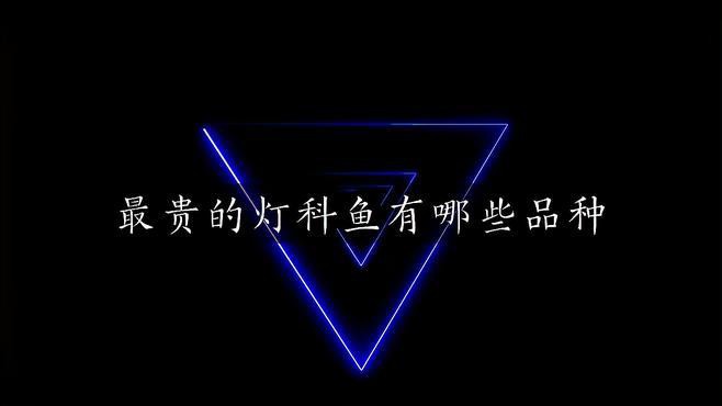 燈科魚哪種魚最好名貴，最貴的燈科魚有哪些品種？
