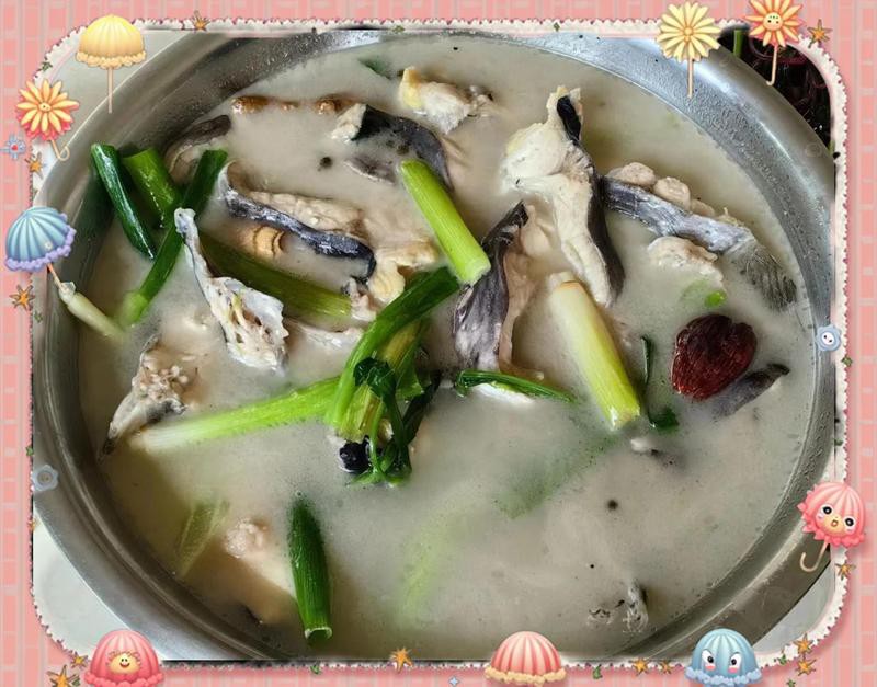 臨滄龍魚店，臨滄市臨翔區(qū)游龍魚趣觀賞魚店