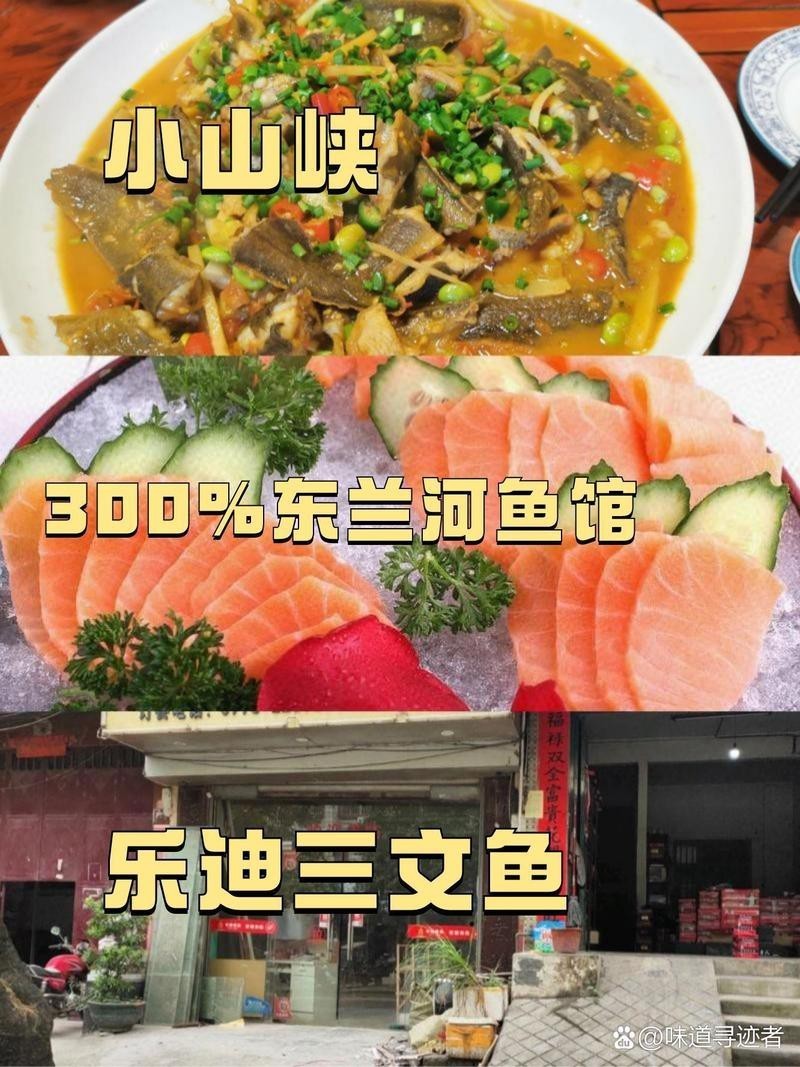 東蘭龍魚店，東蘭地區(qū)有專門的龍魚店嗎