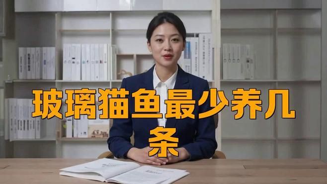 貓魚共養需要多大的魚缸？，招財貓最小用多大的缸養，可以和什么魚養到一起