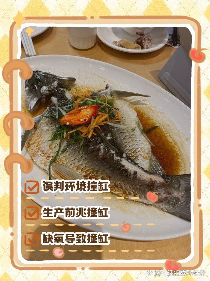 魚撞缸是吉兆還是兇兆，魚撞缸是吉兆還是兇兆，魚撞缸是兇兆