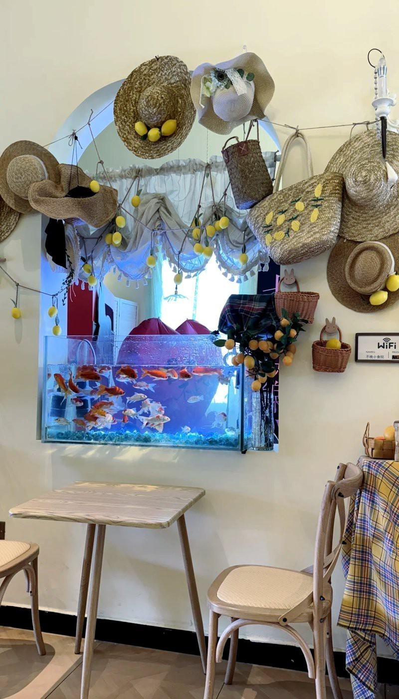 平陽水族店，平陽地區哪家水族店口碑最好
