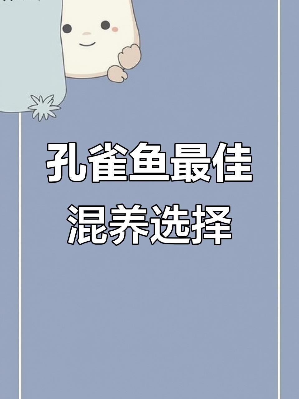 孔雀魚能與什么魚混養，孔雀魚混養推薦新奇想法萌寵匯