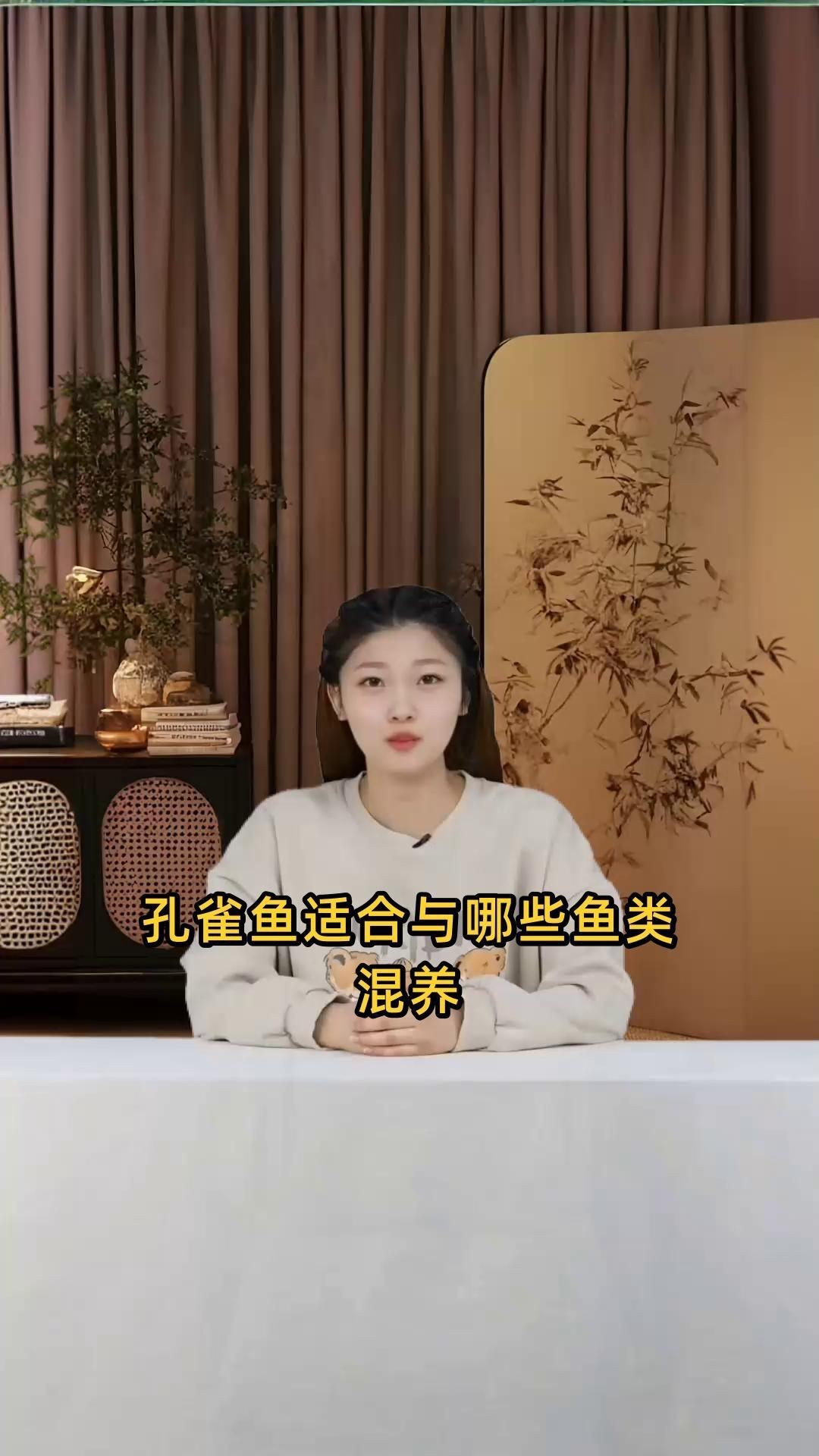 孔雀魚能與什么魚混養，孔雀魚混養推薦新奇想法萌寵匯