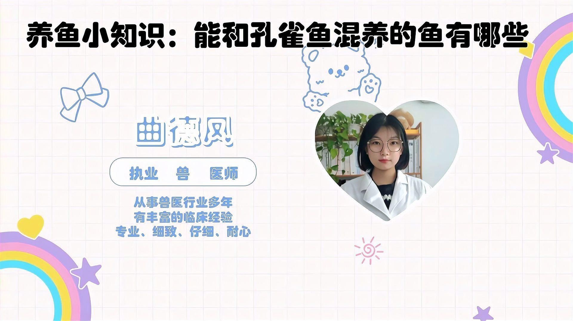 孔雀魚能與什么魚混養，孔雀魚混養推薦新奇想法萌寵匯