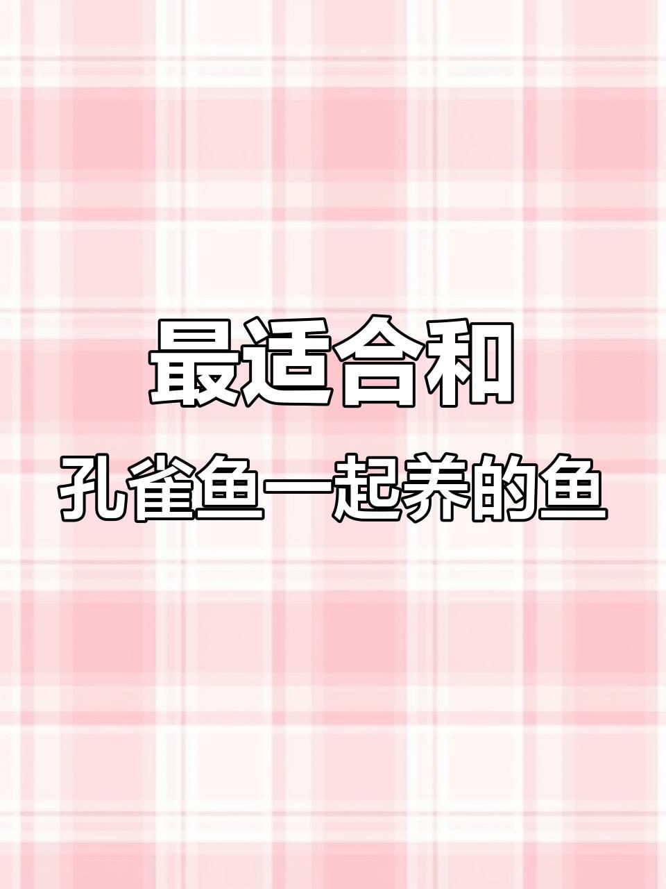 孔雀魚能與什么魚混養，孔雀魚混養推薦新奇想法萌寵匯
