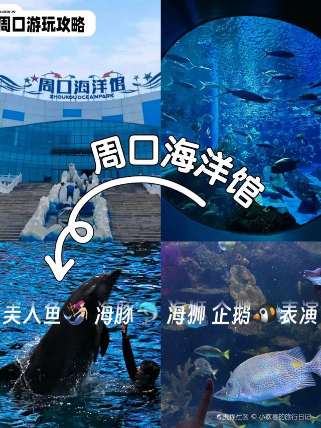 周口水族店，周口水族店哪家口碑最好