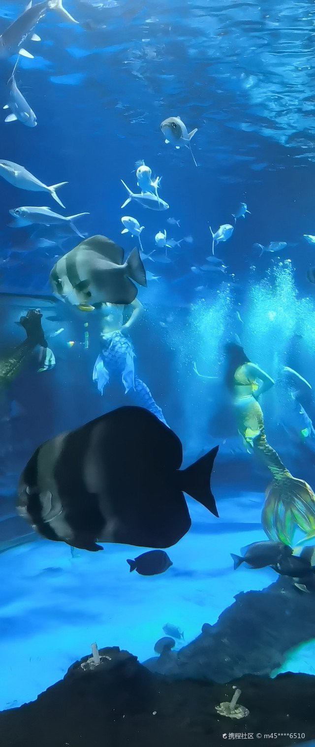 周口水族店，周口水族店哪家口碑最好