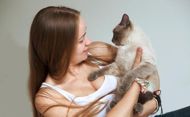 養貓最旺的三個生肖，養貓最旺的三個生肖分別是屬鼠、屬牛和屬牛和屬牛的人