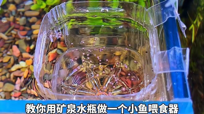 簡易自制一周喂魚器教程，簡易自制一周喂魚器全攻略