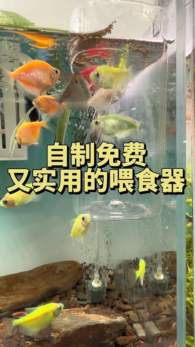 簡易自制一周喂魚器教程，簡易自制一周喂魚器全攻略