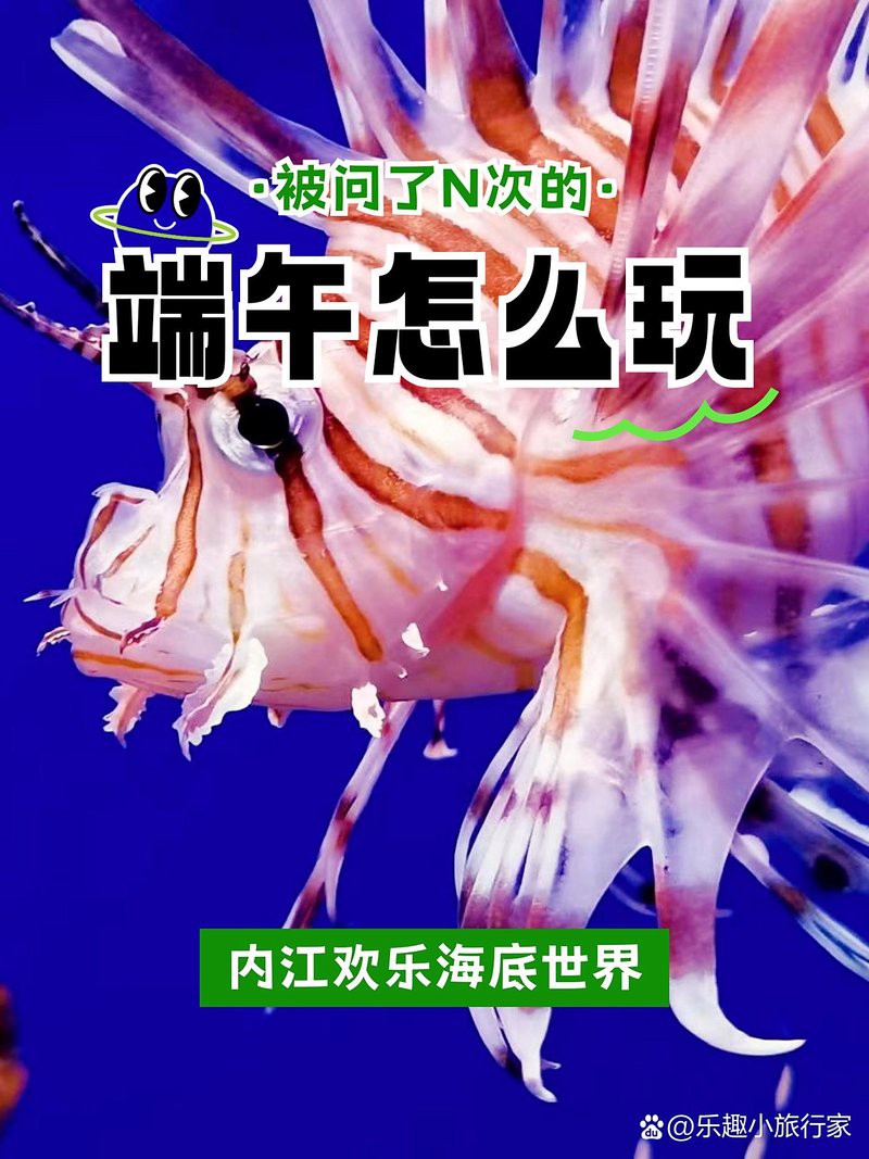 內(nèi)江水族店，七秒水族（睿美水族內(nèi)江專賣店）位于內(nèi)江市中區(qū)上南街134號(hào)