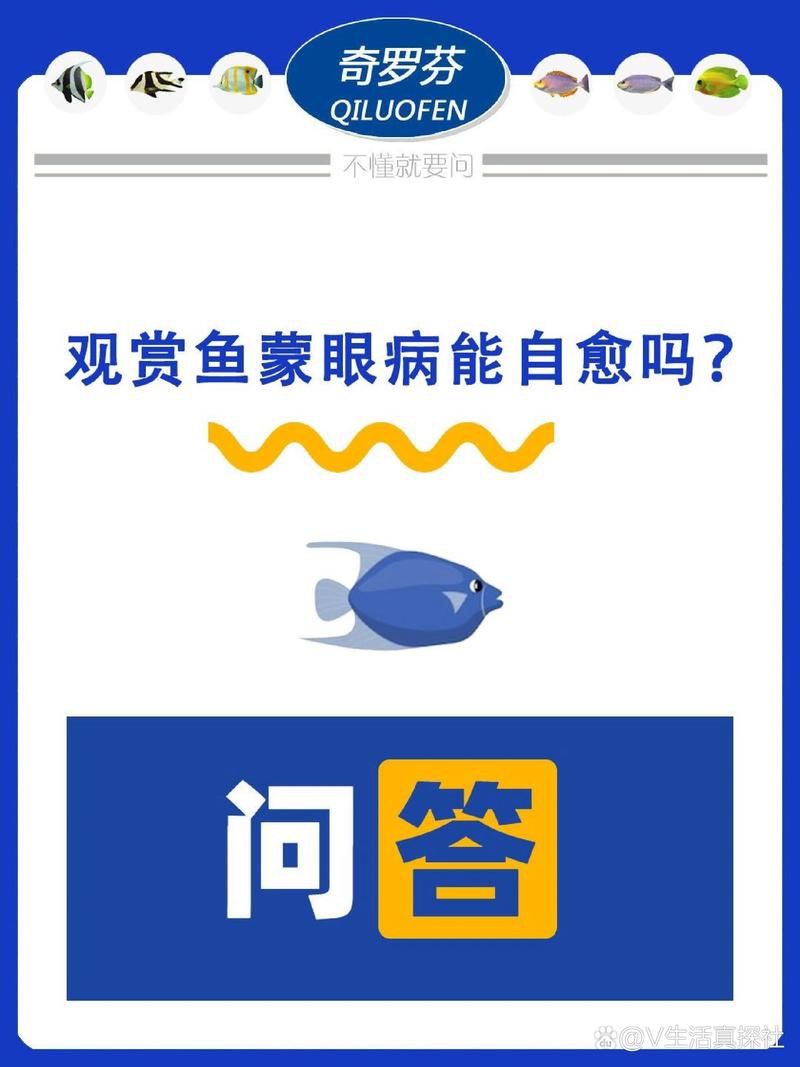 紅龍蒙眼病會自愈嗎？，紅龍蒙眼病能自愈嗎