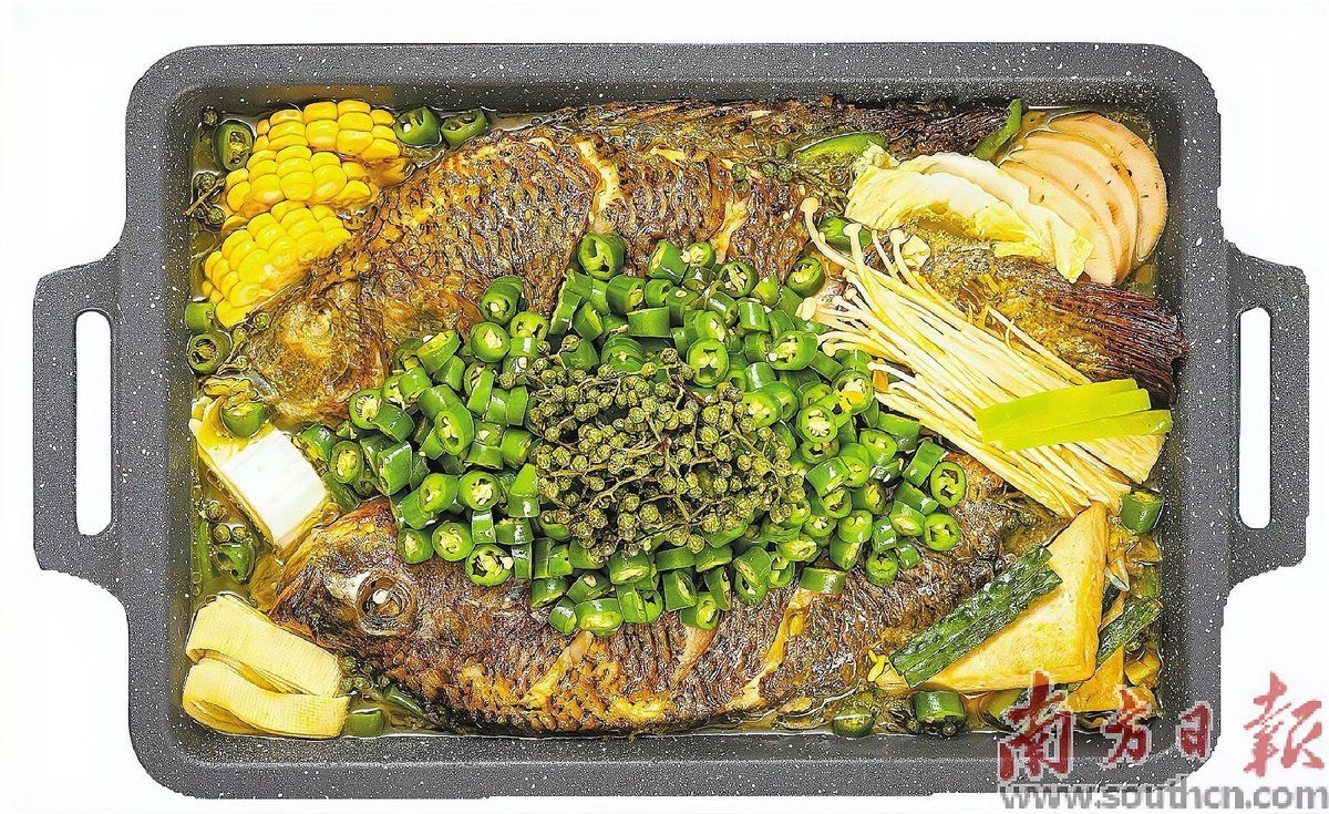 吳川龍魚店，吳川有哪些賣龍魚的地方