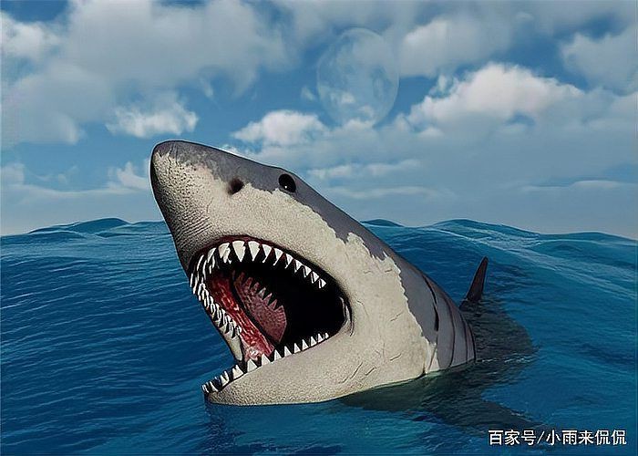 馬里亞納海溝有巨齒鯊嗎，科普，馬里亞納海溝的神秘現象，或許存在史前生物巨齒鯊