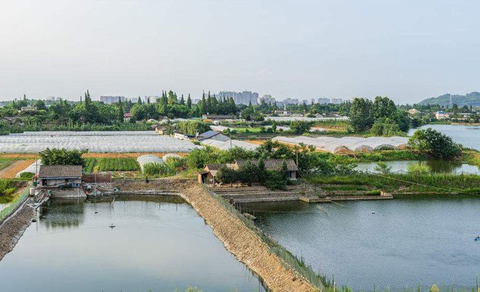 淡水魚苗批發市場，淡水魚苗批發市場現狀與趨勢分析\