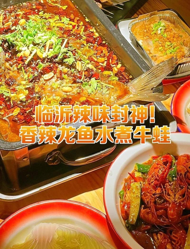 臨沂龍魚(yú)店，臨沂觀賞魚(yú)實(shí)體店都去哪了
