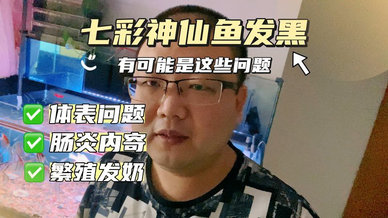 鳳凰元寶身體發(fā)黑正常嗎，“鳳凰元寶”身體發(fā)黑是正常現(xiàn)象，可能由多種因素導致