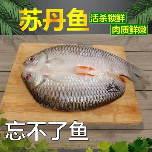 馬來魚圖片，皮頷馬來西亞的“魚皇”是什么魚呢酷似軍魚連魚鱗也能吃