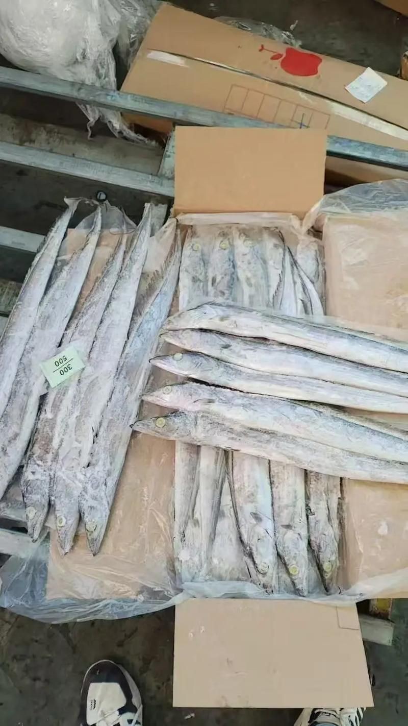 馬來魚圖片，皮頷馬來西亞的“魚皇”是什么魚呢酷似軍魚連魚鱗也能吃