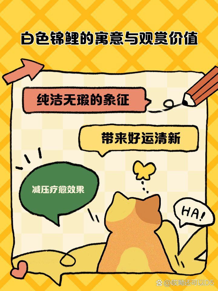 兩條白錦鯉的寓意，《兩條白錦鯉的寓意》在傳統文化中
