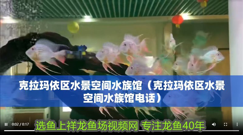 克拉瑪依區龍魚店，克拉瑪依區水景空間水族館