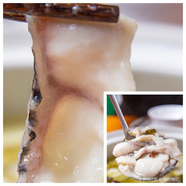 樂(lè)清龍魚(yú)店，樂(lè)清市柳市敖龍魚(yú)餅店為何注銷(xiāo)樂(lè)清龍魚(yú)店的歷史背景
