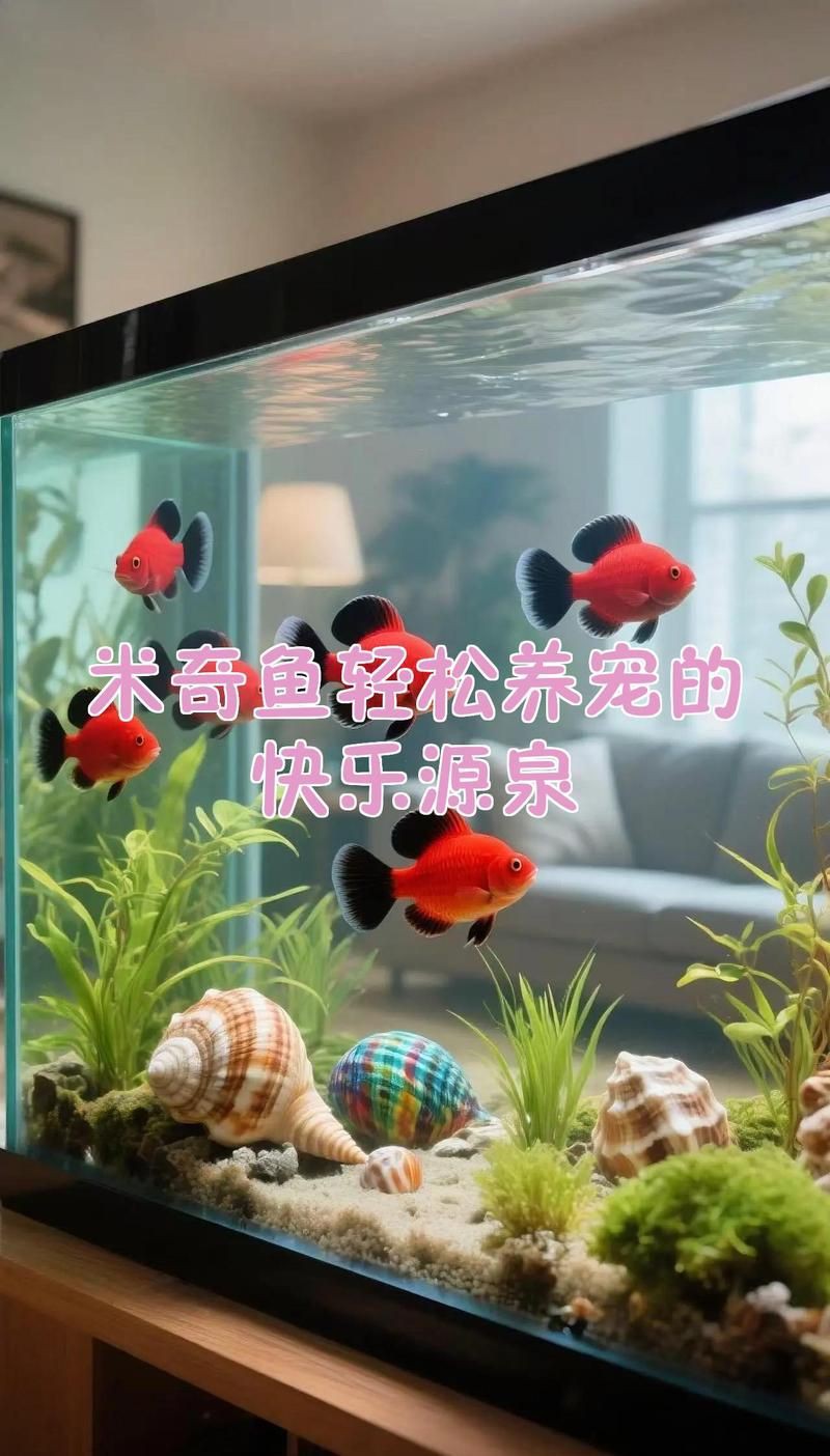 米奇魚吃不吃剛生下來的小魚，《米奇魚是否食用剛出生的小魚》