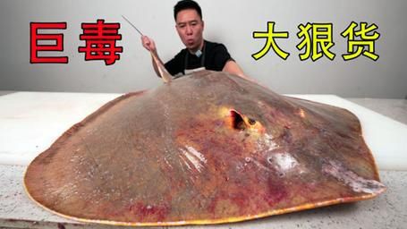 魔鬼魚圖片大全大圖，“魔鬼魚圖片大全大圖”匯集了海量高清視覺素材