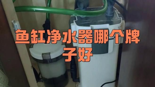 森森魚缸和伊罕哪個更好？，十大魚缸推薦：你的水下世界，值得更好選擇！