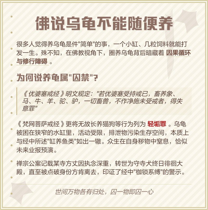 養烏龜是前世欠了什么債，《養烏龜是前世欠了什么債》