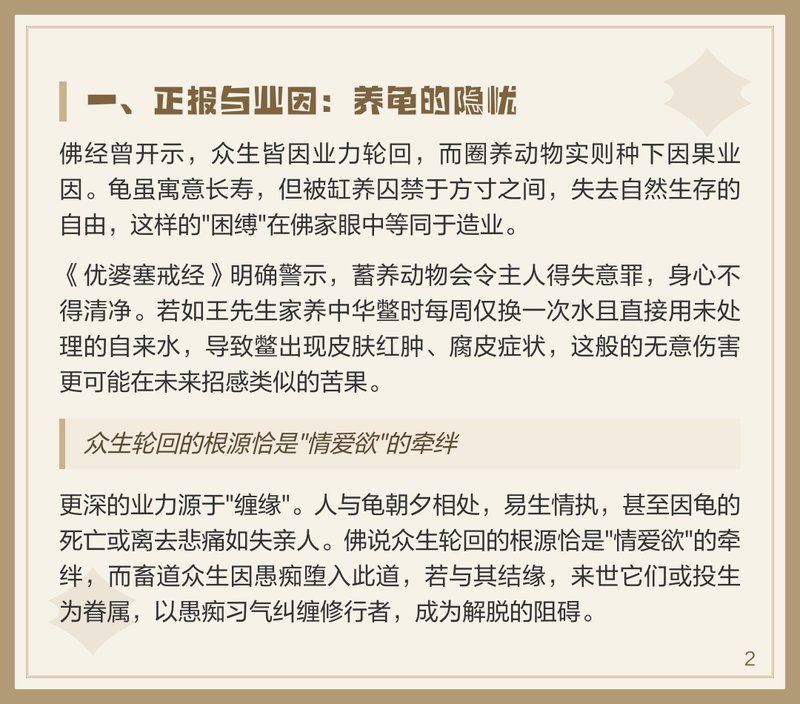 養烏龜是前世欠了什么債，《養烏龜是前世欠了什么債》